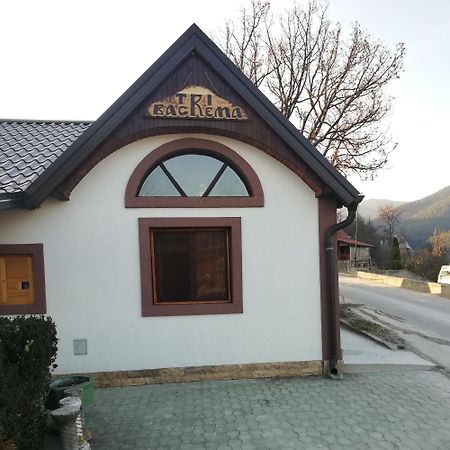 Ferienwohnung Tri Bagrema Km Mokra Gora Exterior foto