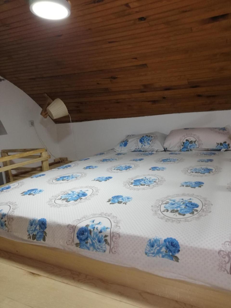 Ferienwohnung Tri Bagrema Km Mokra Gora Exterior foto